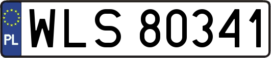 WLS80341