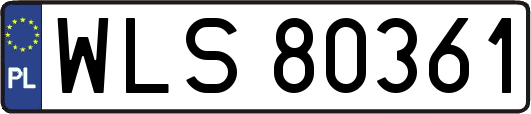 WLS80361