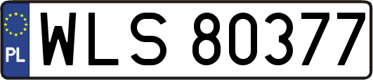 WLS80377