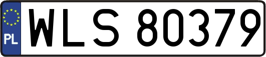 WLS80379