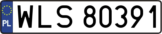 WLS80391