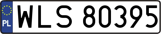 WLS80395