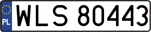 WLS80443