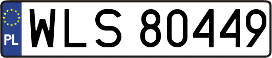 WLS80449