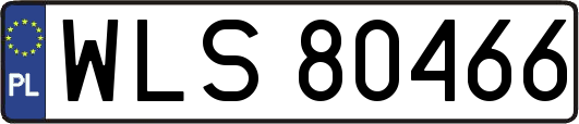 WLS80466