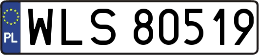WLS80519