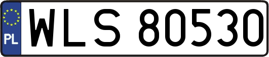 WLS80530
