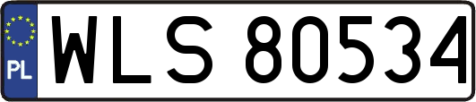 WLS80534