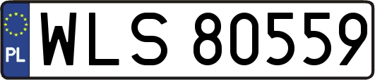 WLS80559