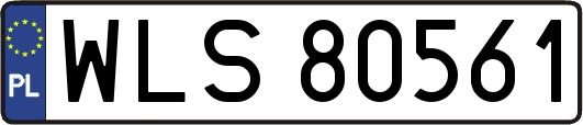 WLS80561