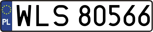 WLS80566