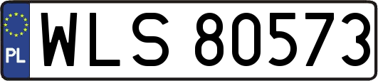 WLS80573