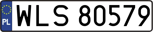WLS80579
