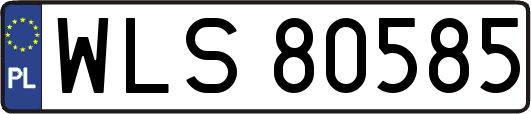 WLS80585
