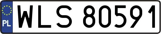 WLS80591