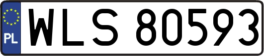 WLS80593