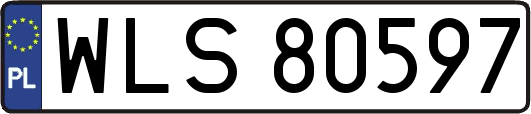 WLS80597