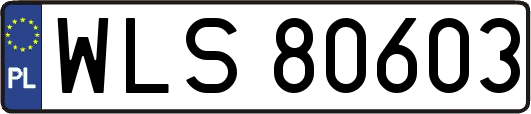 WLS80603