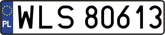 WLS80613