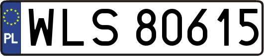 WLS80615