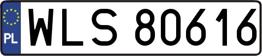 WLS80616