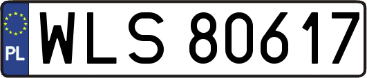 WLS80617