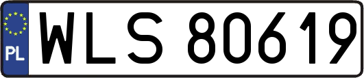 WLS80619