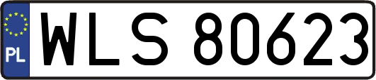 WLS80623