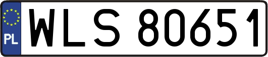 WLS80651