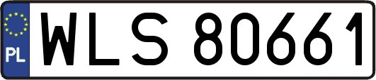 WLS80661