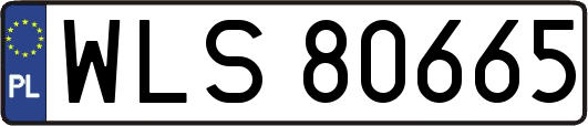 WLS80665