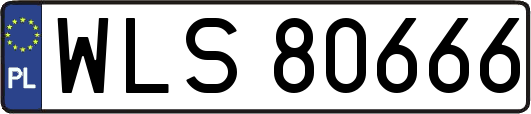 WLS80666