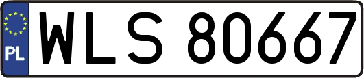 WLS80667