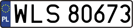 WLS80673