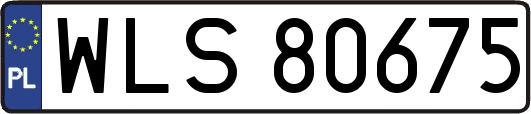 WLS80675