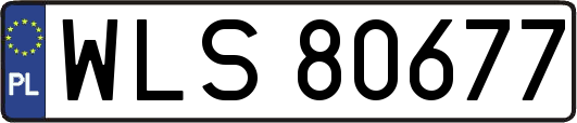 WLS80677