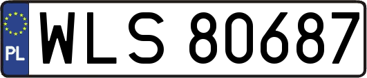 WLS80687