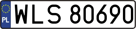 WLS80690