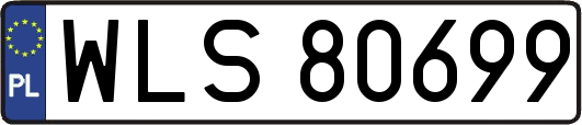WLS80699