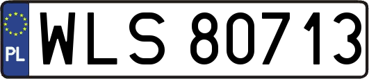 WLS80713