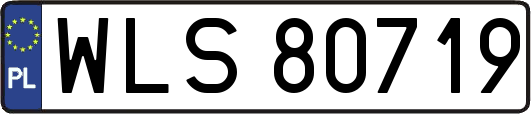 WLS80719