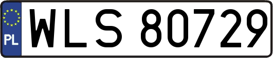 WLS80729