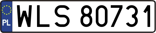 WLS80731