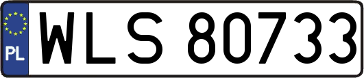 WLS80733