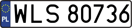 WLS80736