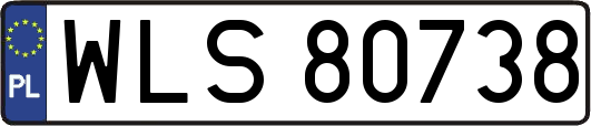 WLS80738