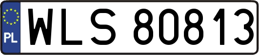 WLS80813
