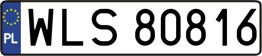 WLS80816