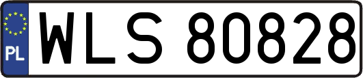 WLS80828