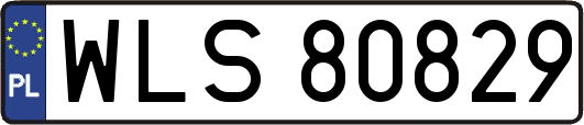WLS80829